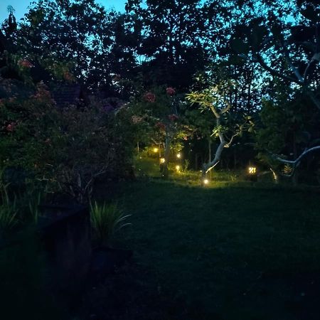 Bougainvillea Bungalow Batumadeg المظهر الخارجي الصورة